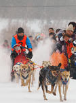 eniwa6dog_musherN