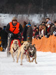 eniwa6dog_musherK