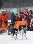 eniwa6dog_musherS