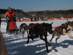 eniwa4dog_musherS