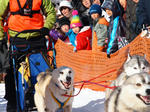 eniwa4dog_musherT
