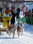JAPAN CUP 遠征