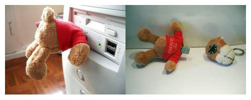 bear-w.jpg