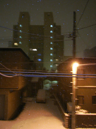 snow.jpg