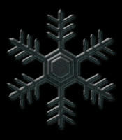 snow-bk2.jpg