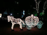 2007.11.21.03.JPG