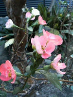 2007.11.28.01.JPG