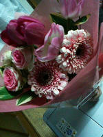 2008.03.31.01.JPG