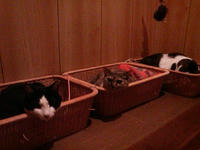 2008.06.11.03.JPG