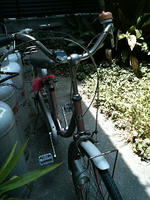 2008.07.24.06.JPG