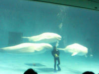 2008.09.01.15.JPG