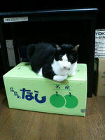 2008.09.09.01.JPG