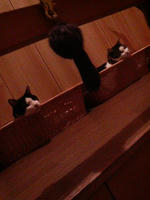 2008.09.18.02.JPG