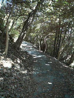 2008.09.27.12.JPG