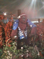 2008.11.24.01.JPG