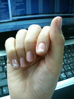 2008.12.10.03.JPG