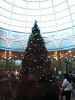 2008.12.13.11.JPG