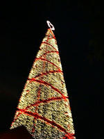 2008.12.13.12.JPG