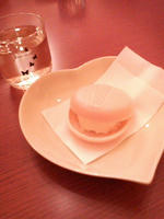 2009.03.11.07.JPG