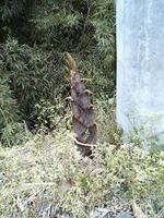 2009.05.02.14.JPG