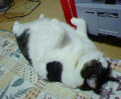 2006.11.25.04.JPG