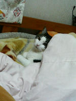 2007.11.07.01.JPG