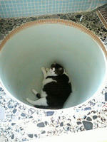 2008.07.28.02.JPG