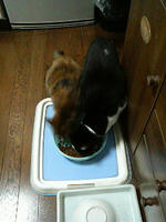 2009.11.29.02.JPG