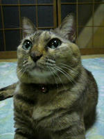 2010.03.12.02.JPG