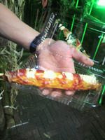 2010.06.04.03.JPG