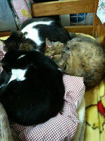 2009.03.30.01.JPG