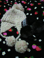 2011.01.04.14.JPG