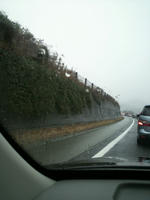 2010.12.30.03.JPG