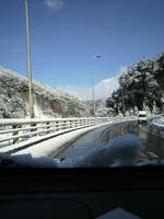 2010.12.31.009.JPG