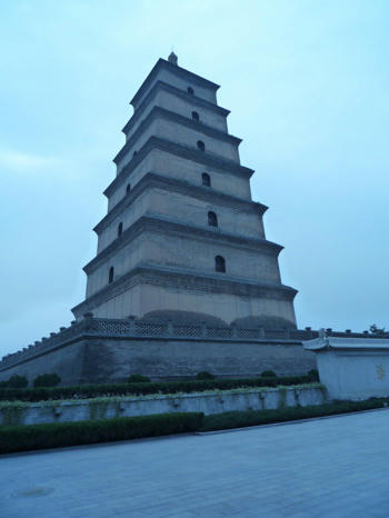 P1000639.jpg