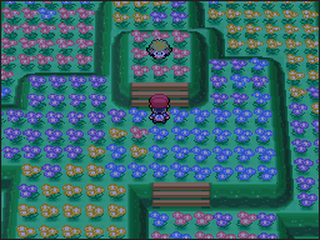 画像: Serebii.net