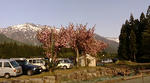 20080504170825.jpg