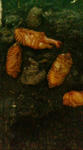 20080612200224.jpg