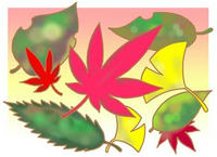紅葉・黄葉・落葉・もみじ・紅葉シーズン