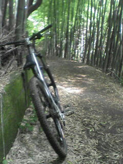 070819_1239~01.jpg