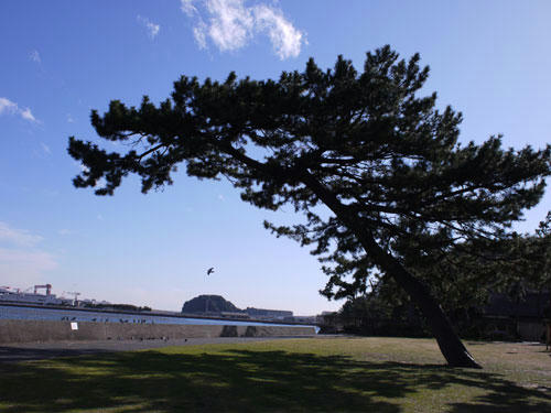 sanpo5.jpg