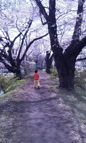 SBSC0555.jpg