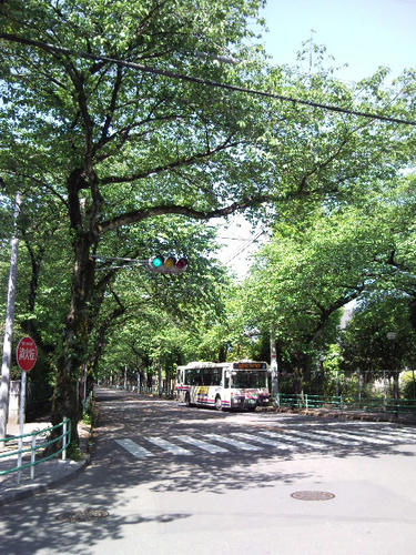 SBSC0612.jpg