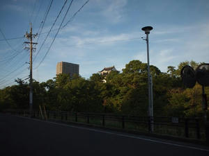 P9020390.jpg