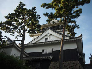 P9020386.jpg