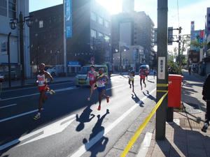 P1010659.jpg