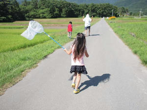 f8a84ab9.jpg