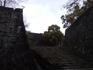 SBSC1376.jpg