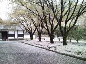 SBSC1383.jpg
