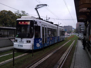 SBSC1385.jpg